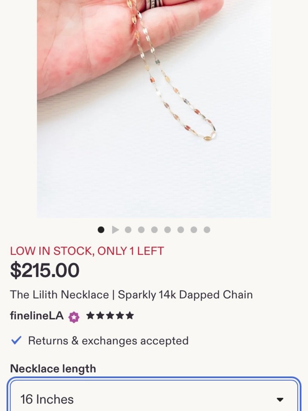 Sparkly 14k Dapped Chain Necklace in Gold - The Lilith